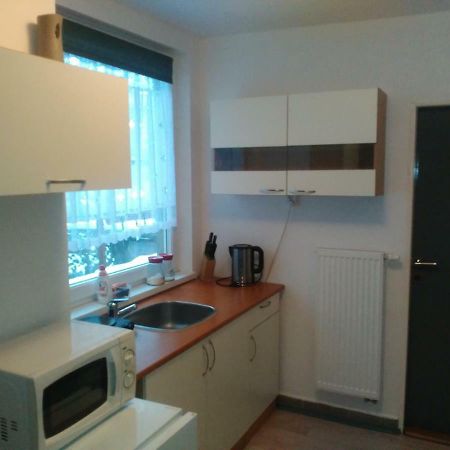 Appartement Na Polesi à Žlutice Extérieur photo
