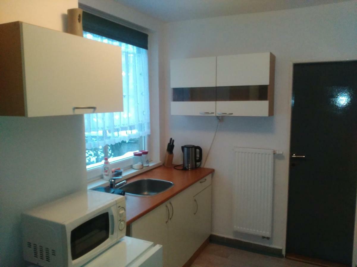 Appartement Na Polesi à Žlutice Extérieur photo